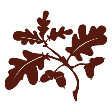 brown oak leaves and acorns clip art preview