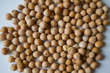 chickpea