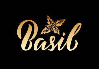 Vector illustration of basil lettering for packages, product design, banners, stickers, spice shop price list and  decoration. Handwritten isolated word with floral graphic elements for web or print
