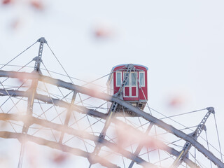 Vienna, Austria: Prater Riesenrad carousel among cherry blossom
