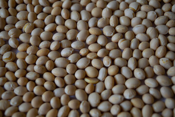 soya beans