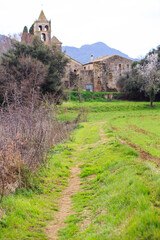 Fototapeta na wymiar Green grass herbs rural pathway on a medieval old village