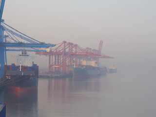 Naklejka premium India, Mumbai Port Trust - 25 January, 2017: View to moored container vessels with port cranes during the morning fog.