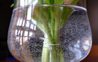 Texture of water with bubbles