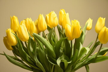 żółte tulipany, bukiet