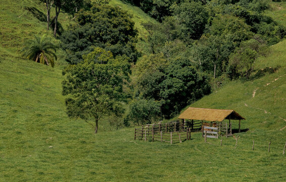 velho cural abandonado de fazenda 