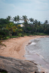 Costa de playa del caribe con agua cristalina y palmeras