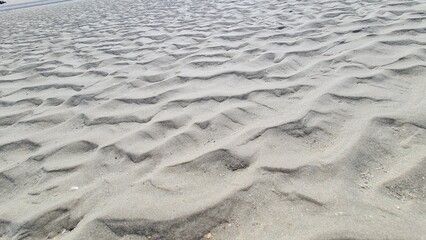 sable