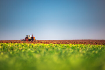 Fototapeta premium Tractor plowing the fields