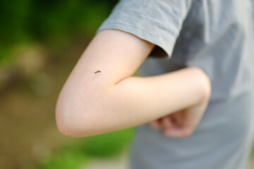 Mosquito sitting on the hand of child. Gnat sucking blood. Danger of bite of an insect. Use repellent for safety kids.