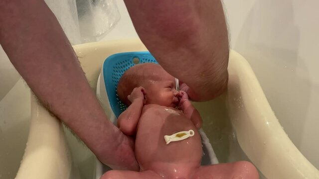 Bathing newborn baby in a baby bath, father bathing his 3-week-old son, infant in baby bath seat support.