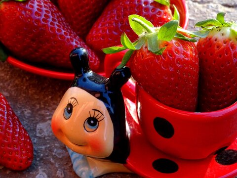 A strawberry scene with a ladybud cup