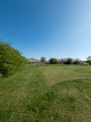Swanscombe nature reserve field