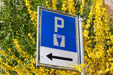 Swiss street parking sign surrounded by forsythia flowers