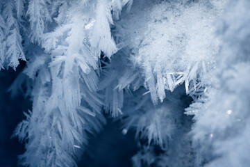 Art of nature crystals of ice