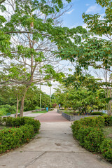 the banks of Metica river at Puerto Lopez, Meta, Colombia