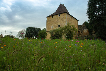 La vieille tour au milieu des fleurs