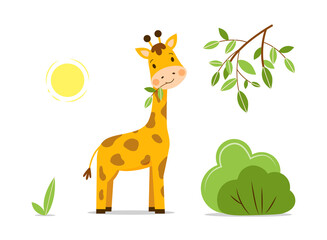 Landscape with cute baby giraffe chewing the leaves of a tree on an isolated white background. Flat vector kawaii character stands on the green grass on a sunny day and smiles happily.