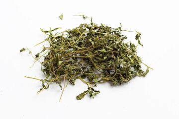 Dry stevia leaves on white background