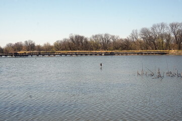 Boardwalk over Lake in Wetland on Early Spring Day
