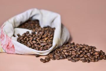 Pine nuts in a rag bag, beige background