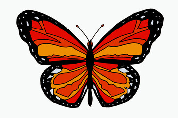the butterfly in warm colors on a white background