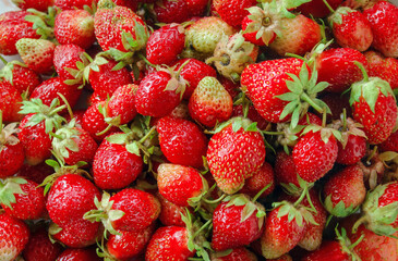 Lot of ripe and sweet strawberries