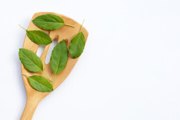 Holy basil leaves on wooden spatula on white