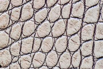 Texture of genuine leather close-up, gray beyge color, embossed under skin of reptile, croco. Fashion banner design