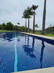 swimming pool with trees