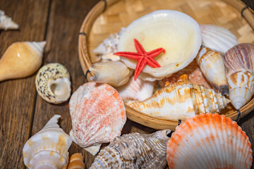 Seashell treasures on wooden old boards.