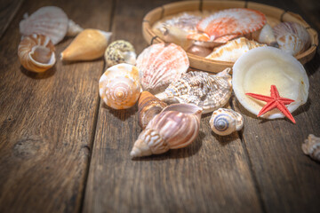 Seashell treasures on wooden old boards.