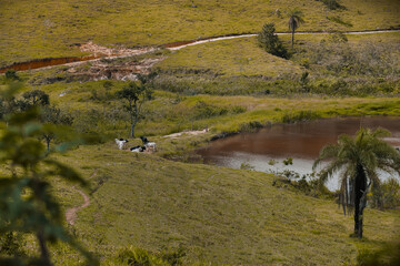 fazenda com lagos matas e estradas