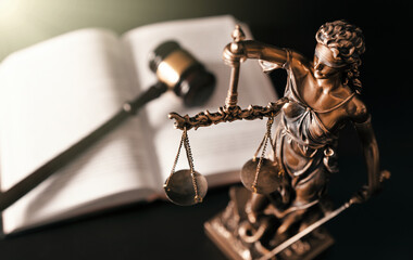 Lady justice. Statue of Justice in library - obrazy, fototapety, plakaty