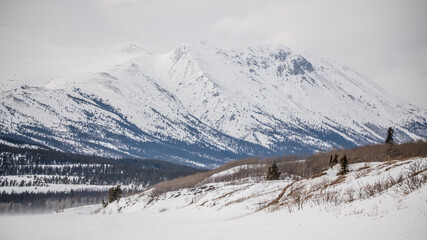 Fototapeta premium Spectacular northern Canadian mountains seen outside of Whitehorse, Yukon in early spring, late winter with wilderness forest below and clouds covering the peak above. 