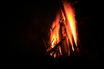 jungle forest and sea Capurgan&aacute; Choc&oacute; Colombia