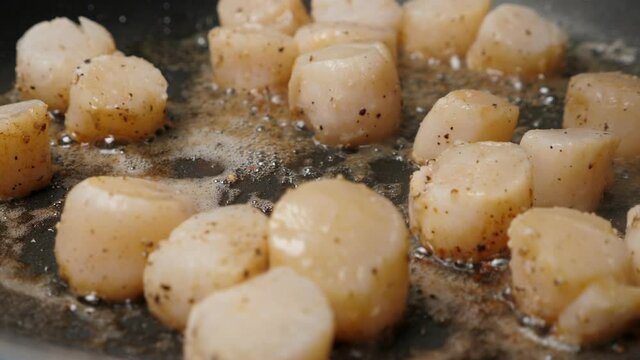 Cook scallops on frying pan. Cooking process. Closeup