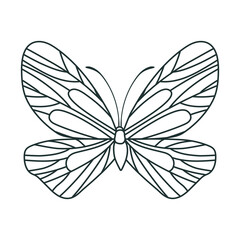 cute butterfly illustration