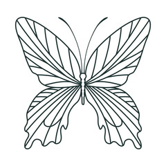 pretty butterfly icon
