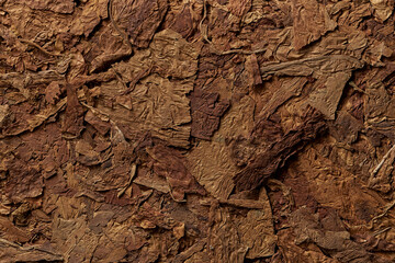 Tobacco leaves pattern. High quality photo