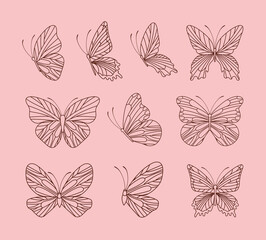 Fototapeta na wymiar cute butterflies bundle