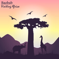 Sunset in Africa silhouette with baobab tree, giraffe and elephant vector illustration