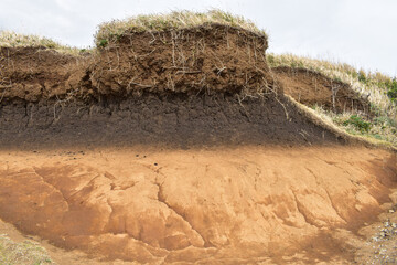 上に草が生えている地層