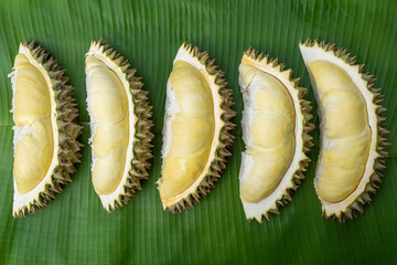 The golden yellow durian fruit is placed on a banana leaf background. Ripe durian, the king of fruits of Thailand