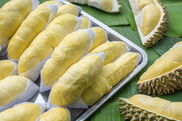 The golden yellow durian is placed on a stainless steel tray with a banana leaf background. Ripe durian, the king of fruits of Thailand