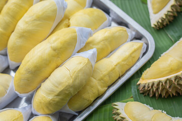The golden yellow durian is placed on a stainless steel tray with a banana leaf background. Ripe durian, the king of fruits of Thailand