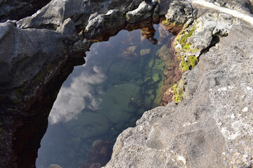 海の中にある透明な海の岩の池