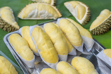 The golden yellow durian is placed on a stainless steel tray with a banana leaf background. Ripe durian, the king of fruits of Thailand