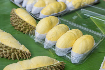 Golden yellow durian in a clear plastic box With a banana leaf background. Ripe durian, the king of fruits of Thailand