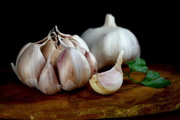 Garlic